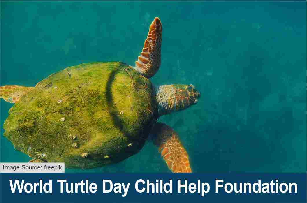 World Turtle Day Child Help Foundation