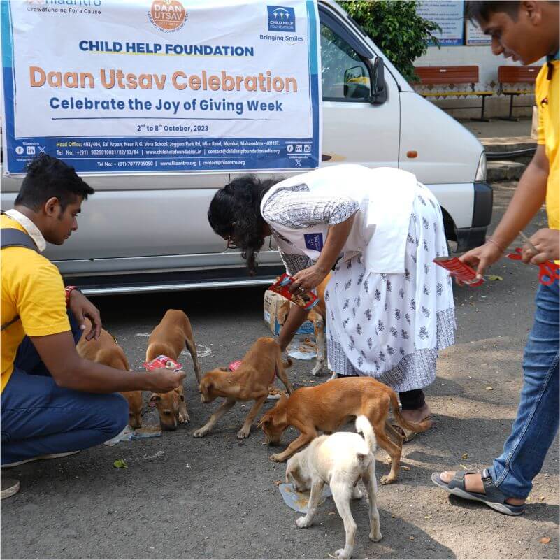 CHF Volunteers feeding stray dogs