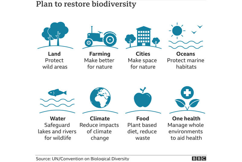 restore biodiversity