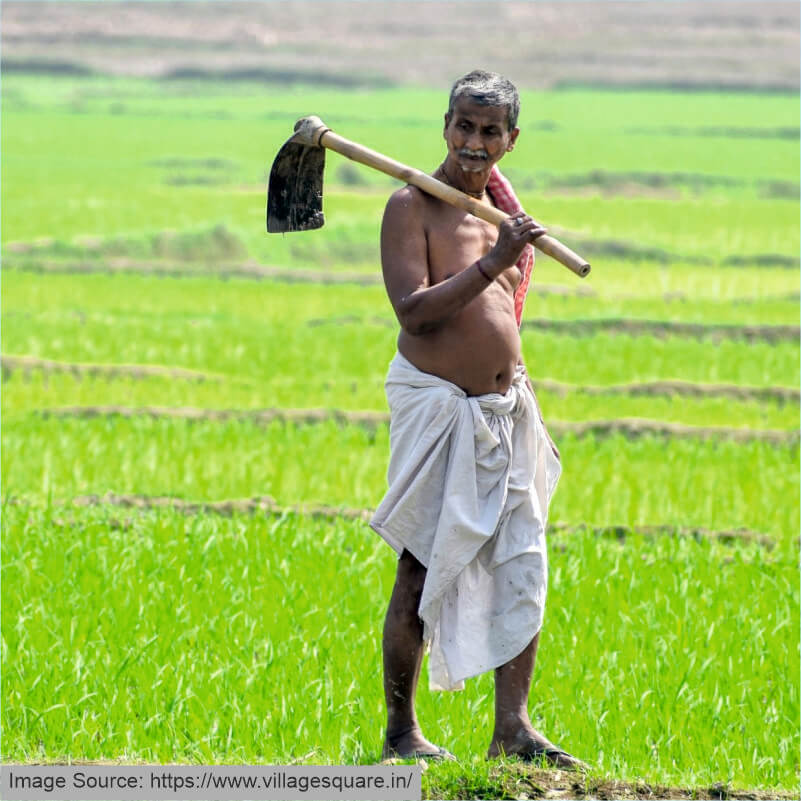 A farmer walking on fields 