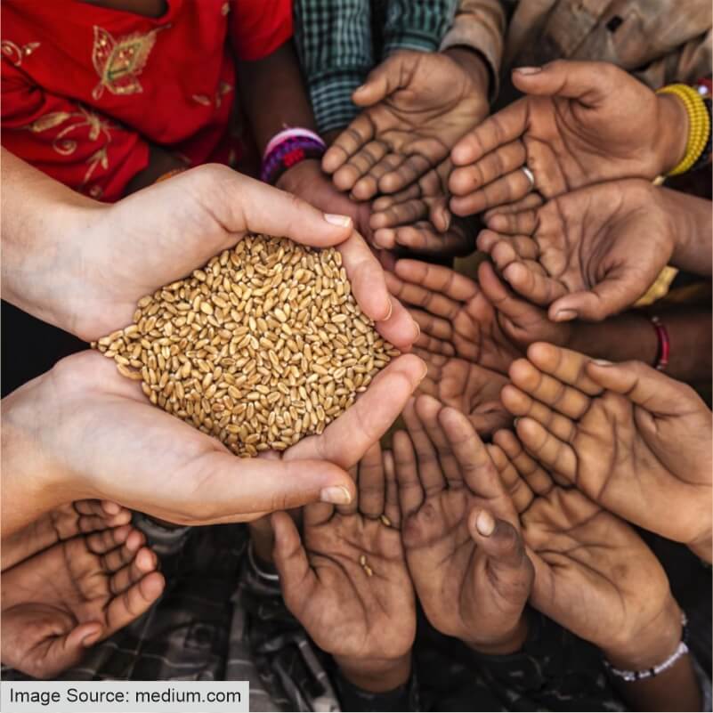 People reaching out towards food grains