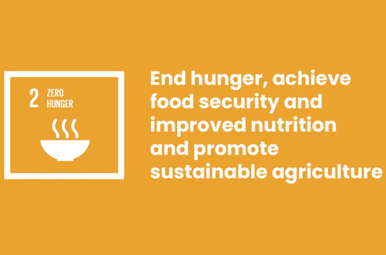 SDG 2: Zero Hunger Child Help Foundation