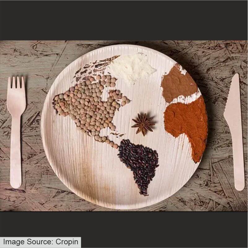 food insecurity/cropin
