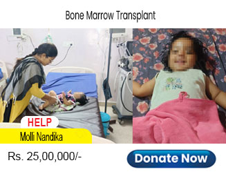 help-nandika