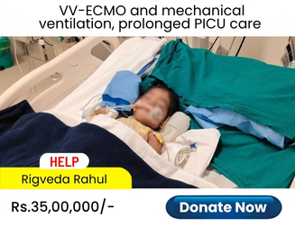 help-rigveda