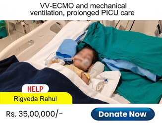 help-rigveda
