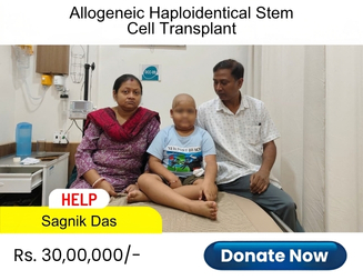 help-sagnik-das
