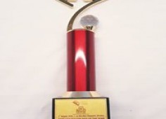 03_Child Help Foundation Award of Excellence